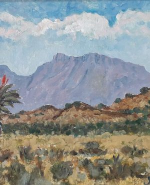 JV Coetzer - Renosterberg, Middelburg